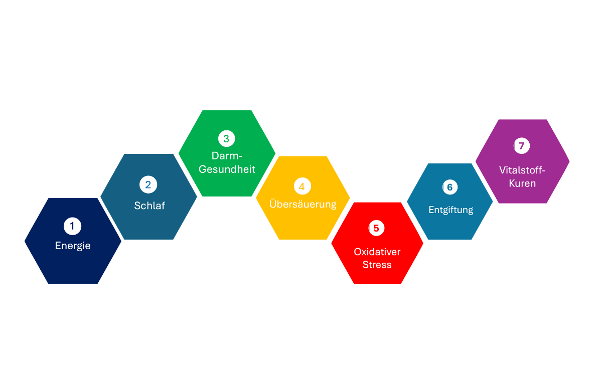 Bild zum Selbstlernkurs in 7 Schritten ganz gesund