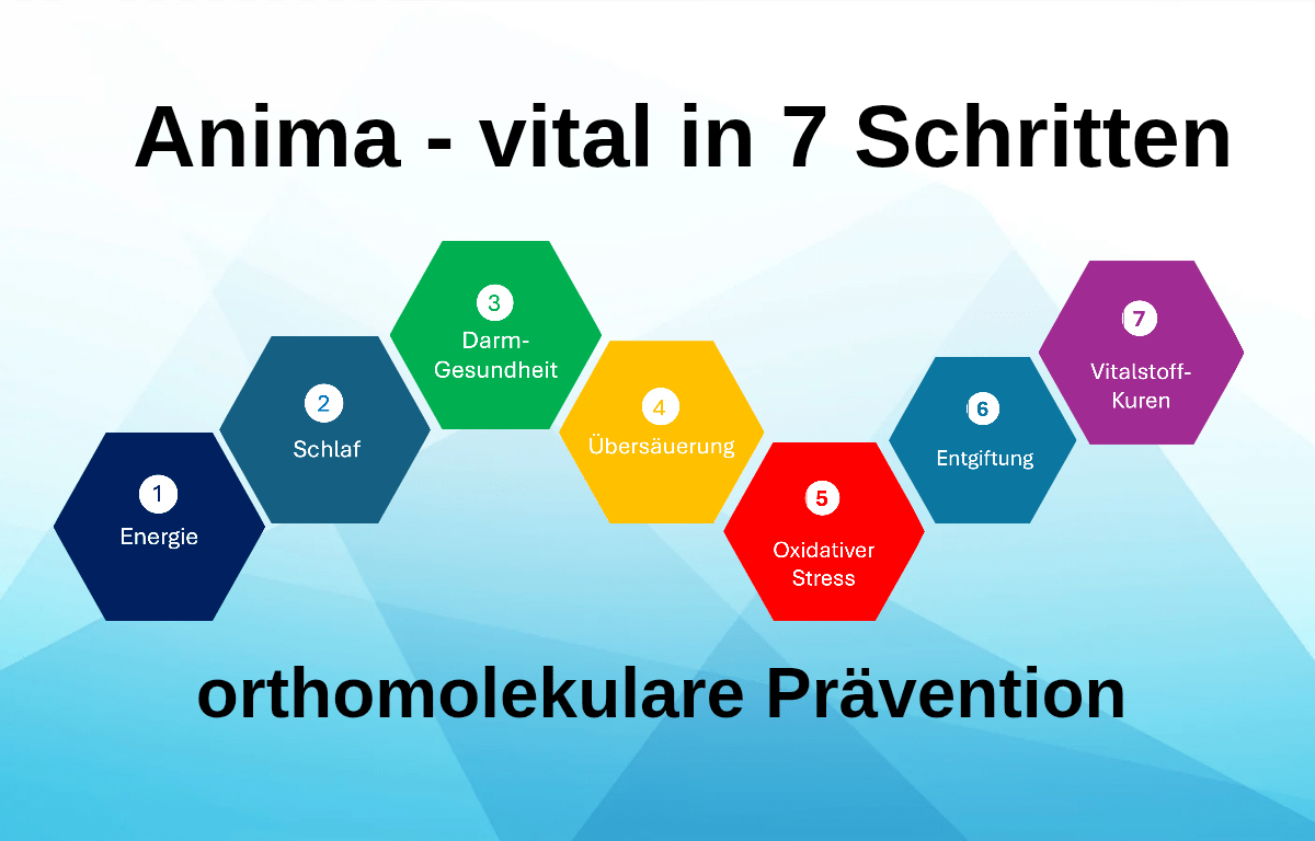 Anima Selbstlernkurs